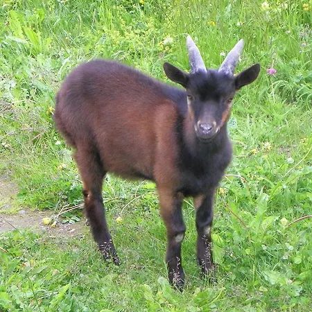 Szálloda Les Granges La Thuile