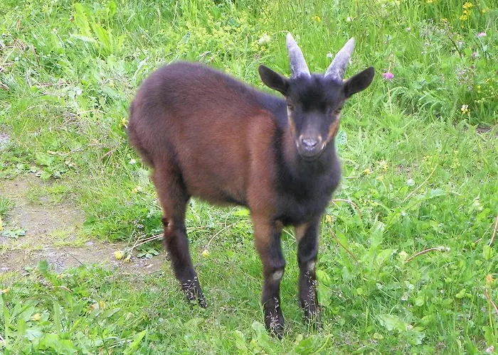 Hotel Les Granges La Thuile