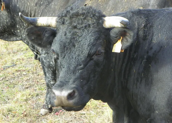 Hotel Les Granges La Thuile