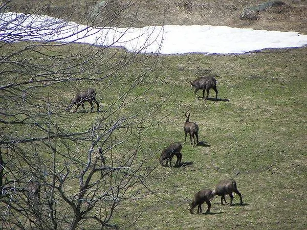 Les Granges La Thuile