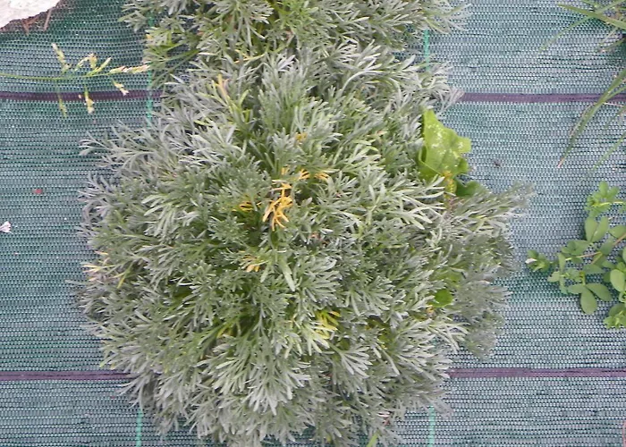 Hotel Les Granges 3*