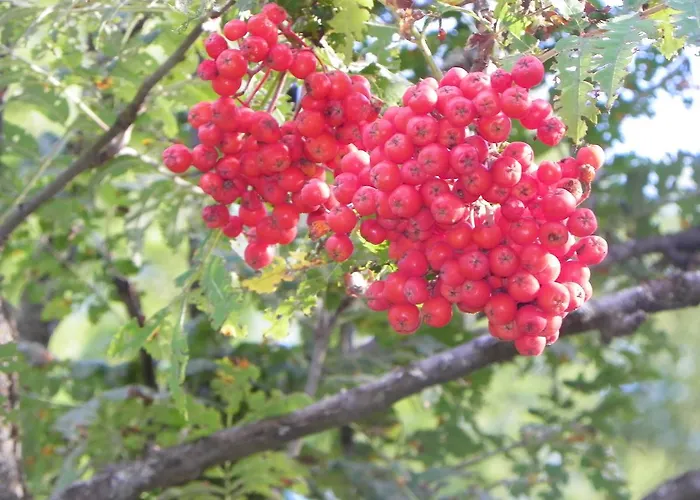 Hotel Les Granges La Thuile