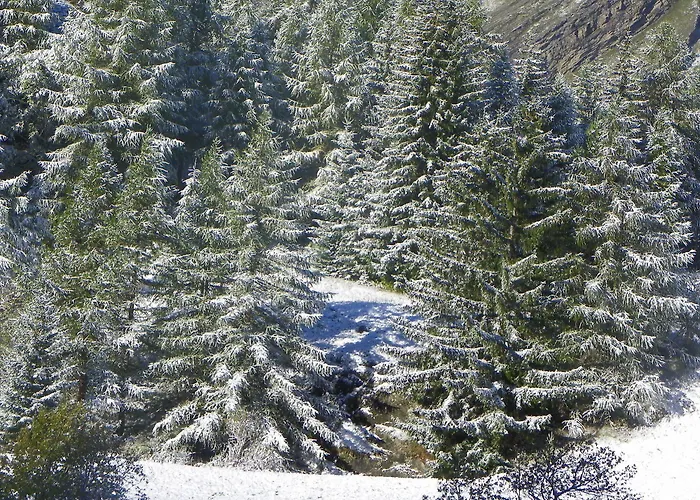 Les Granges Hotel 3*